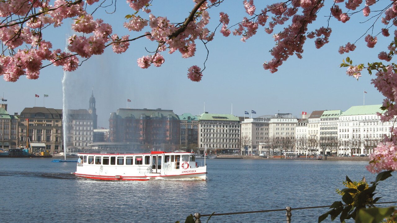 Eventlocations in Hamburg von NORD EVENT - Alsterschiffe - Kirschblueten | © ATG Alster-Touristik GmbH